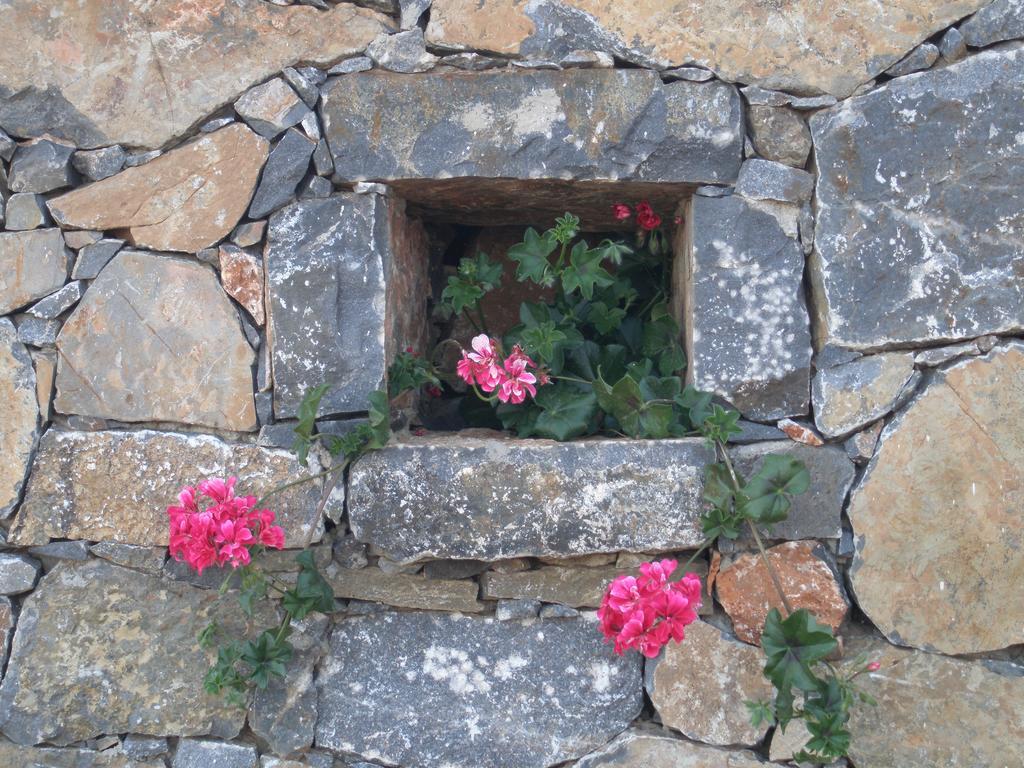 Villa Tholos Crete Kavoúsion Extérieur photo